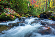 Fall in Tremont Photograph by Darrell DeRosia Fall in Tremont Photograph by Darrell DeRosia