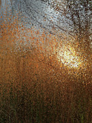 Fall Morning Painting by Alex Mir