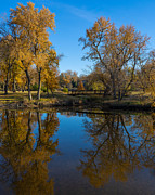 Fall Reflections Photograph by Aaron J Groen