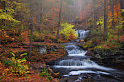 Fall Romance Photograph by Darren White