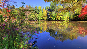 Fall_15 Photograph by Mark Jackson