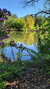 Fall_25 Photograph by Mark Jackson