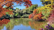 Fall_30 Photograph by Mark Jackson