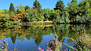 Fall_33 Photograph by Mark Jackson