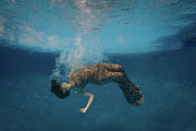 Falling - III Photograph by Mark Rogers