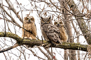 Family Photograph by James Overesch