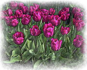 Family Of Red Tulips Digital Art by Kirt Tisdale Family Of Red Tulips Digital Art by Kirt Tisdale