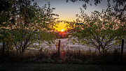 Farm Sunset Photograph by Victoria Plut