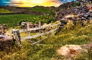 Farmland Gate Fence Sunset Photograph by Marco Sales Photography Farmland Gate Fence Sunset Photograph by Marco Sales Photography