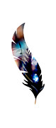 Feather with Jewel Photograph by Sharon Popek
