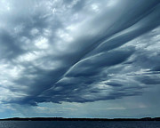 Feathered Sky Photograph by Lee Darnell