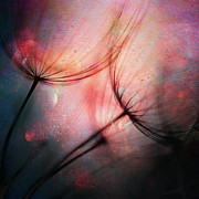 Feathery Photograph by Ursula Abresch