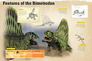 Features of the dimetrodon Digital Art by Album