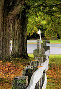 Fence on Haverhill Common #4511 Photograph by Dan Beauvais