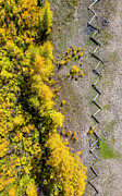 Fenced from Above Photograph by Kevin Schwalbe