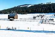 Fences In The Snow Photograph by Tom Cochran