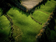 Aerial view of a field in Addison Vermont #1 Photograph by Eric Killorin