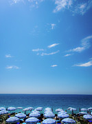 Fifty-One Shades of Blue Photograph by Andrea Whitaker Fifty-One Shades of Blue Photograph by Andrea Whitaker
