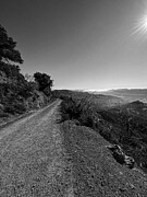 Fire Road Photograph by Leslie Brashear