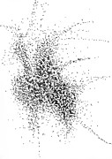 Fireworks Drawing by Franci Hepburn