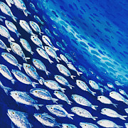 Fish Swirl Painting by Midge Pippel