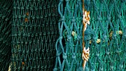 Fishing Fibers Composition 1 Photograph by Robert Bociaga