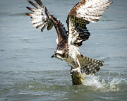 Fishing Photograph by James Overesch
