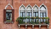 Five Windows of Venice Photograph by David Letts