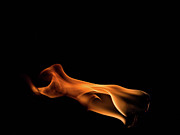 Flame I Photograph by Rich Kovach
