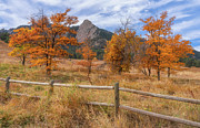 Flatiron Fall Photograph by Darren White