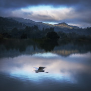 Flight over Corte Madera Creek Photograph by Donald Kinney Flight over Corte Madera Creek Photograph by Donald Kinney
