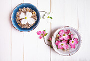 Floating Pink and White Dogwood Blooms Photograph by Charles Floyd Floating Pink and White Dogwood Blooms Photograph by Charles Floyd