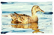 Floating Photograph by Tatiana Travelways Floating Photograph by Tatiana Travelways