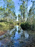 Flooded Road Photograph by Merle Grenz