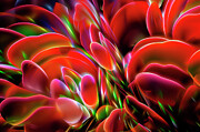 Floral Abstract 28 Digital Art by William Gunn Floral Abstract 28 Digital Art by William Gunn