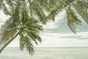 FLORIDA Oceanview - Vintage Photograph by Melanie Viola FLORIDA Oceanview - Vintage Photograph by Melanie Viola