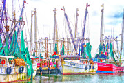 Florida Shrimp Photograph by Alison Belsan Horton