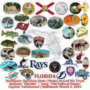 Florida State Symbols Photograph by Robert Banach