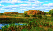 Florida Wetlands Photograph by Kathi Isserman