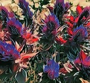 Flower Garden Photograph by Cherry Vercher