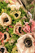 Flower Market 2 Photograph by Lisa Chorny Flower Market 2 Photograph by Lisa Chorny