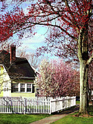 Flowering Trees in Spring Photograph by Susan Savad Flowering Trees in Spring Photograph by Susan Savad