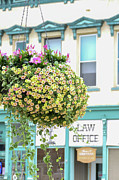 Flowers before the law Photograph by Bentley Davis