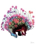Flowers Blooming Times A Wasting Drawing by Joan Stratton