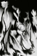 Flowers' Shadow Digital Art by Angrulla MF Flowers' Shadow Digital Art by Angrulla MF