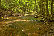 Flowing Along The Cathedral Natural Area Photograph by Adam Jewell Flowing Along The Cathedral Natural Area Photograph by Adam Jewell
