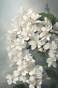 Flowing Jasmine Digital Art by Sterling and Thorn