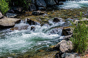 Flowing Red River of Northern New Mexico Photograph by Debra Martz Flowing Red River of Northern New Mexico Photograph by Debra Martz