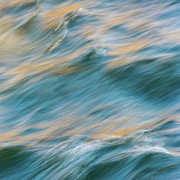 Fluid Impressions Photograph by Shankar Adiseshan