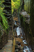 Flume Gorge Walkway Photograph by White Mountain Images Flume Gorge Walkway Photograph by White Mountain Images